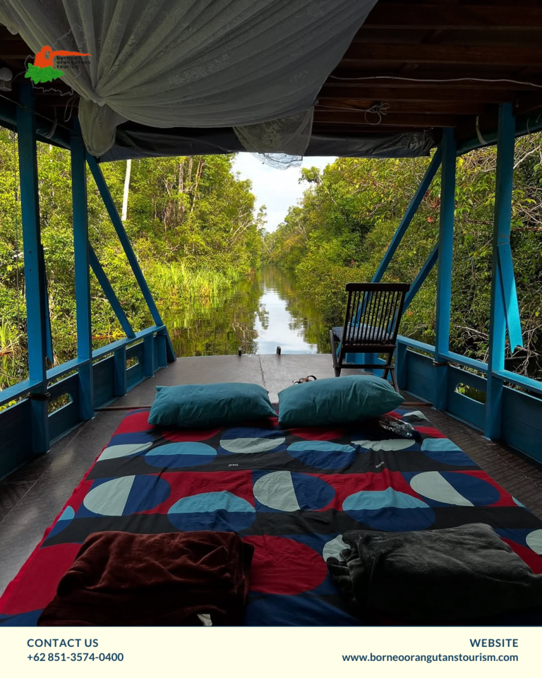 BORNEO ORANGUTANS TOURISM