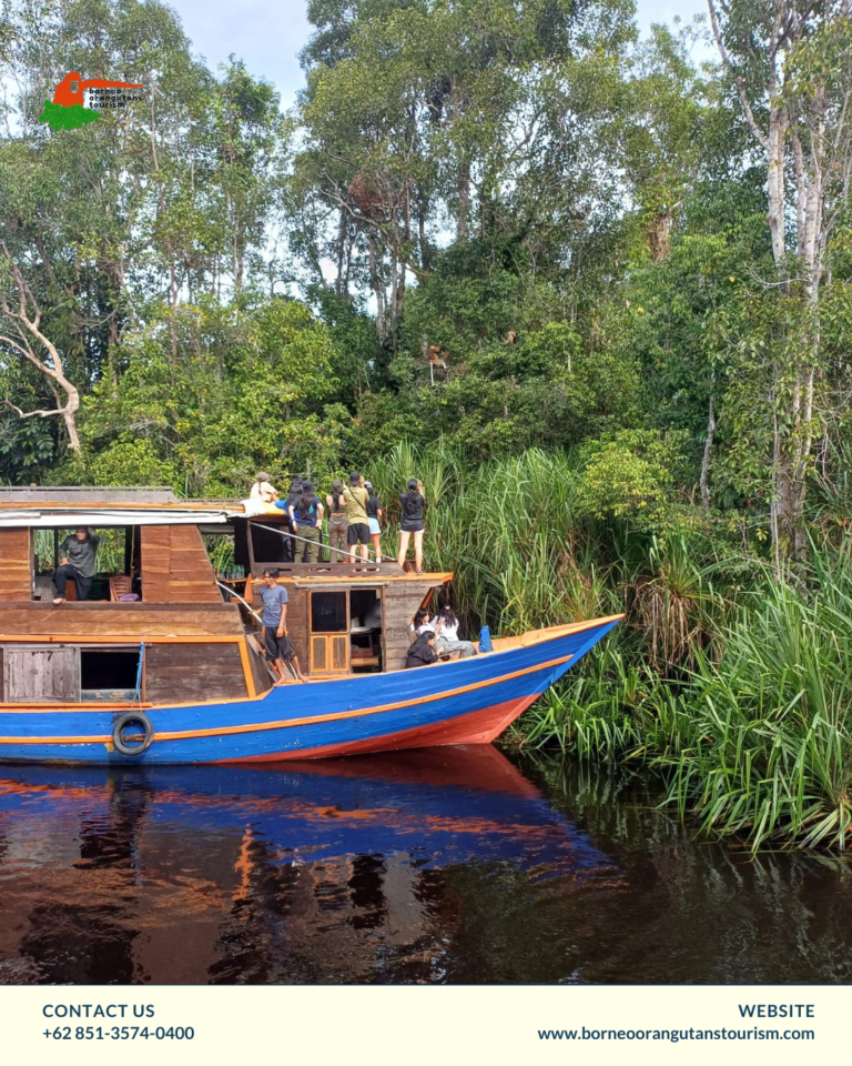 TANJUNG PUTING NATIONAL PARK