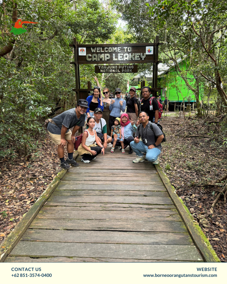 taman nasional tanjung puting