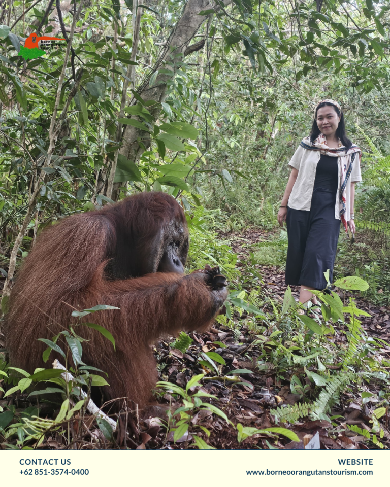 TANJUNG PUTING NATIONAL PARK
