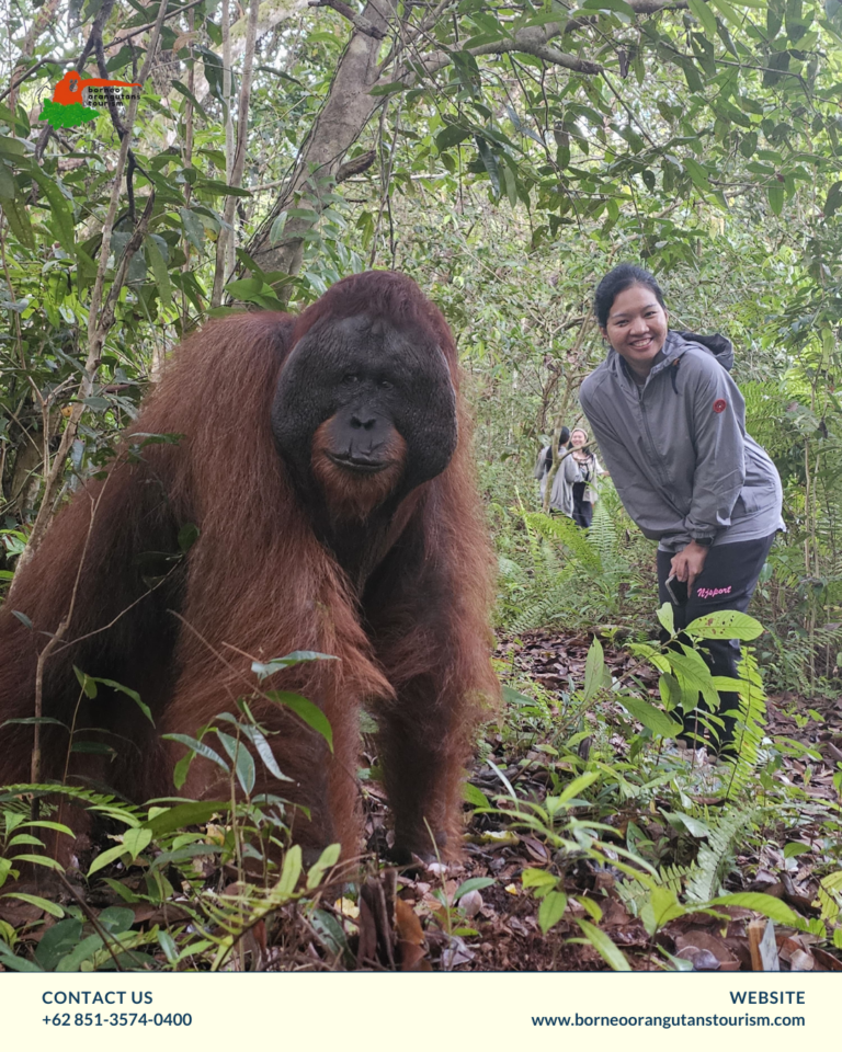 TANJUNG PUTING NATIONAL PARK